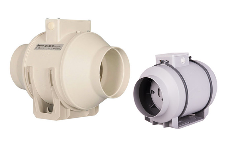 فن-بین-کانالی-.