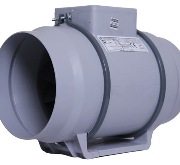 فن-بین-کانالی